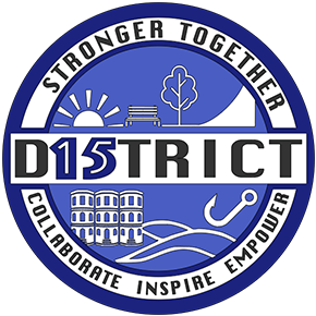 d15 logo